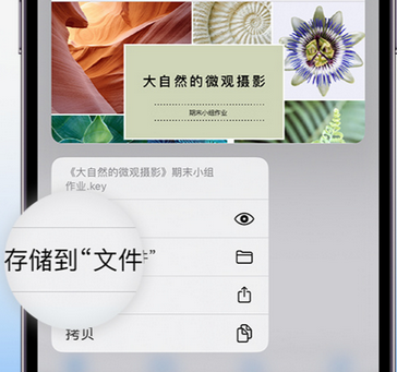 法库apple维修中心分享iPhone文件应用中存储和找到下载文件