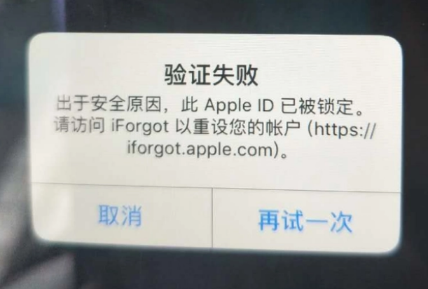 法库iPhone维修分享iPhone上正常登录或使用AppleID怎么办 