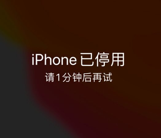 法库苹果手机维修分享:iPhone 显示“不可用”或“已停用”怎么办？还能保留数据吗？ 