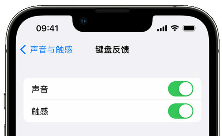 法库苹果手机维修分享iPhone 14触感键盘使用方法 