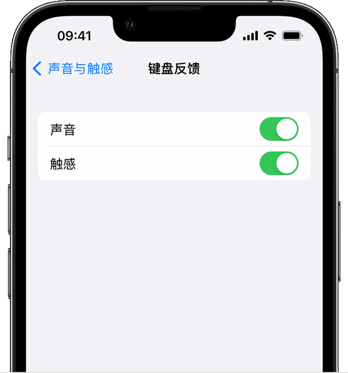 法库苹果14维修分享iPhone 14 系列机型如何开启键盘声音或触感反馈 
