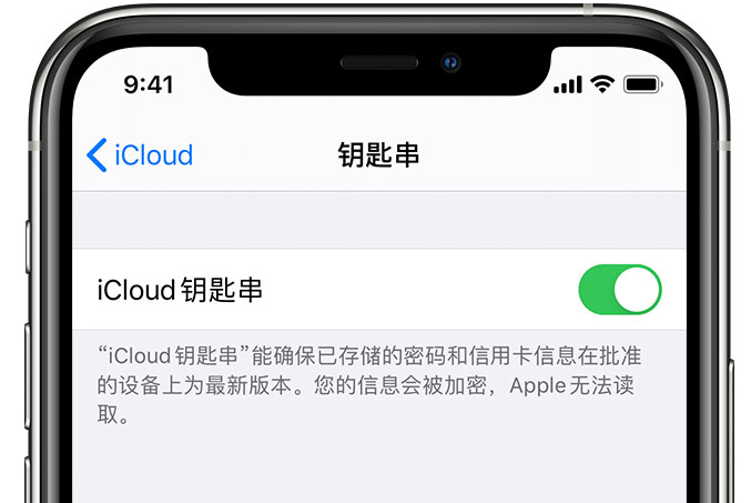 法库苹果手机维修分享在 iPhone 上开启 iCloud 钥匙串之后会储存哪些信息 