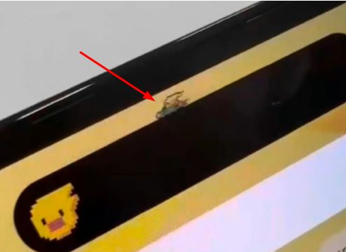 法库苹果14维修分享iPhone 14 Pro Max灵动岛怎么养宠物 