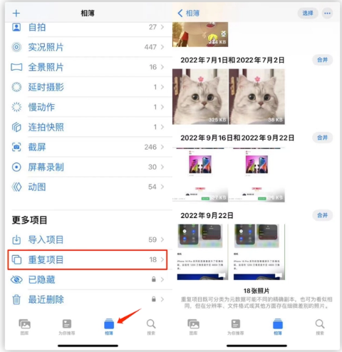 法库苹果手机维修分享iOS 16 中相册重复项目功能使用方法 