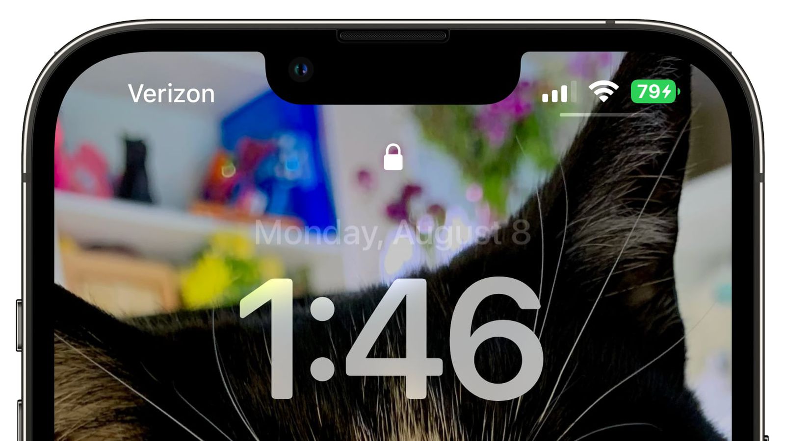 法库苹果手机维修分享iOS 16 beta 5 支持状态栏显示电池百分比，如何开启？支持哪些机型 