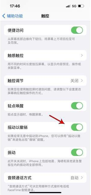 法库苹果手机维修分享iPhone手机如何设置摇一摇删除文字 