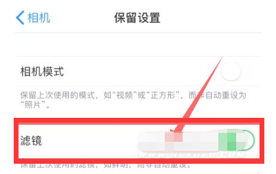 法库苹果13维修分享iPhone13拍照有绿点是怎么回事 