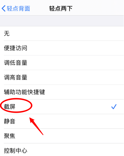 法库苹果手机维修分享iPhone12如何启用双击截屏 